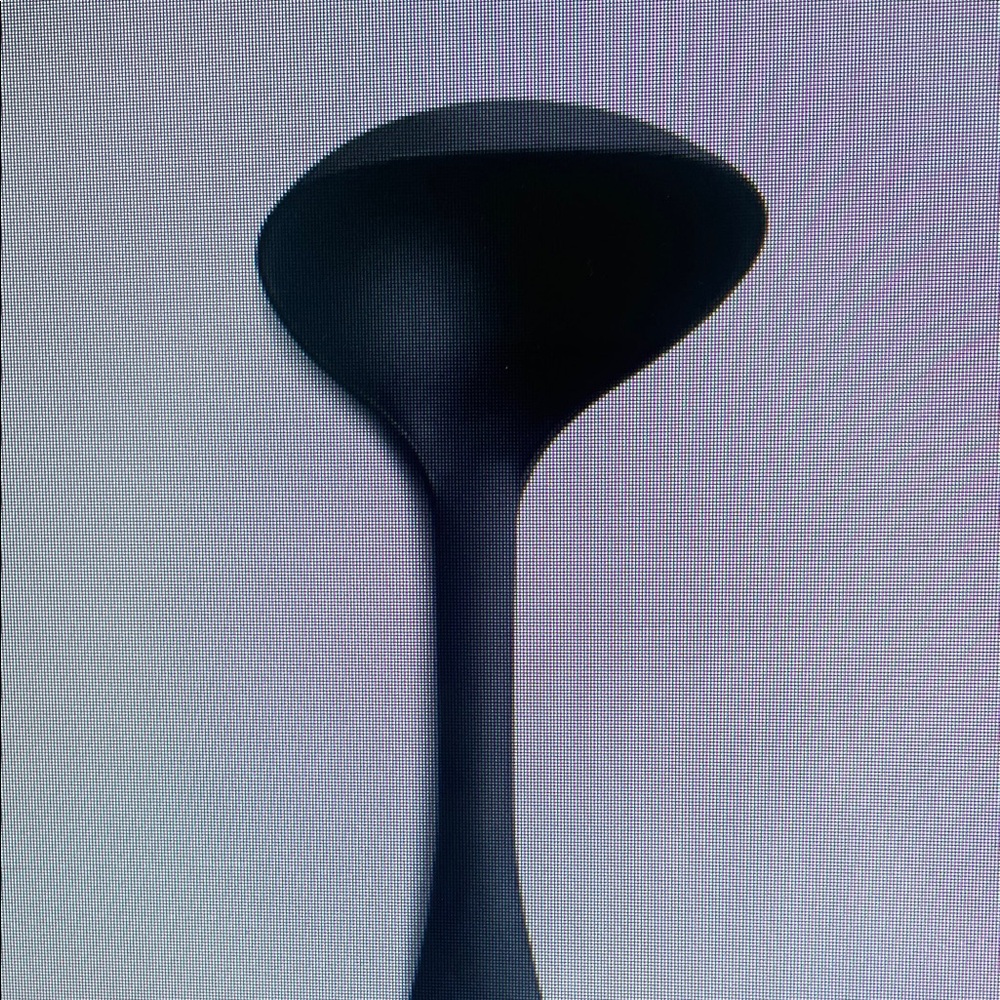 Elegant Black Ladle